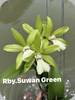 Rby. Suwan Green